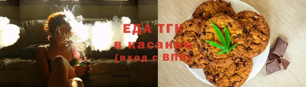 хмурый Алзамай