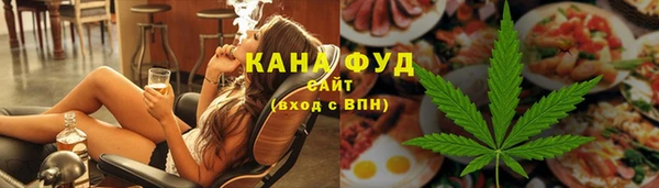 хмурый Алзамай