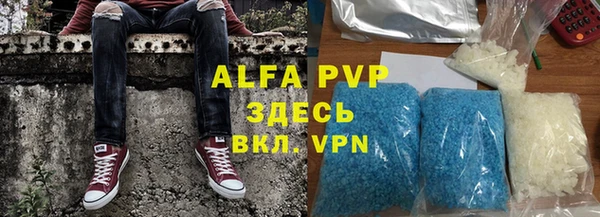 хмурый Алзамай