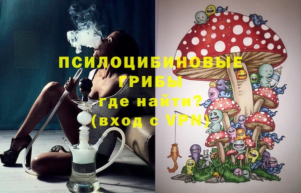 хмурый Алзамай