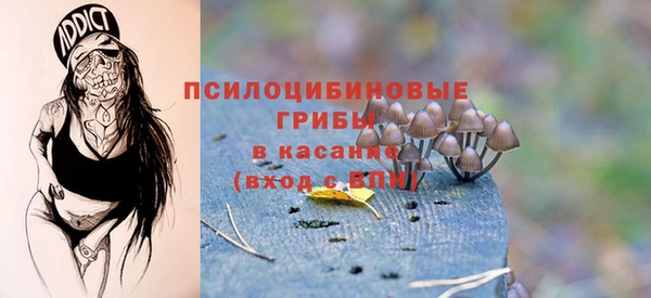 бошки Алексеевка