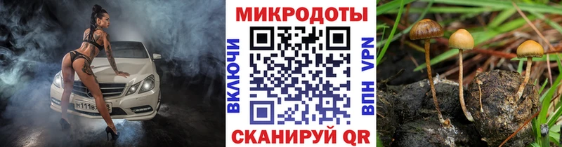 купить   Чусовой  Галлюциногенные грибы GOLDEN TEACHER 