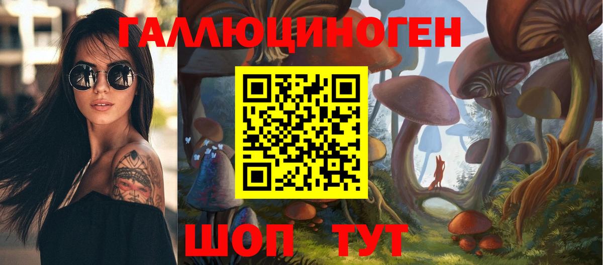Псилоцибиновые грибы Cubensis Чусовой